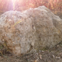 Mein Lieblings-Stein – ein Suevit in der Nähe Malmsheims